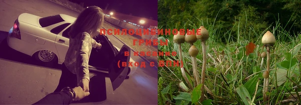 прущая мука Новодвинск