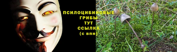 шишки Абинск