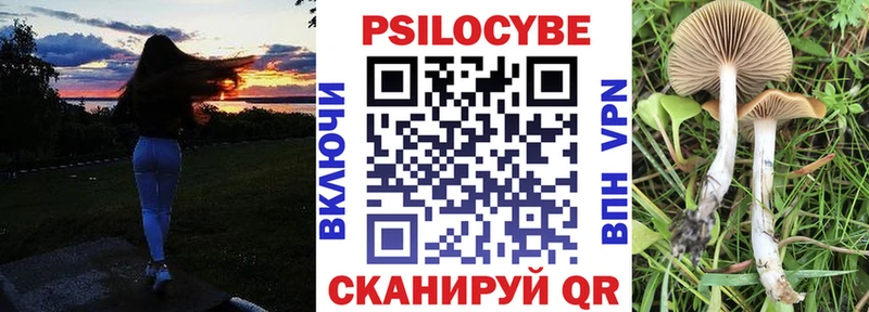 где продают   Партизанск  дарк нет Telegram  Псилоцибиновые грибы Psilocybine cubensis 